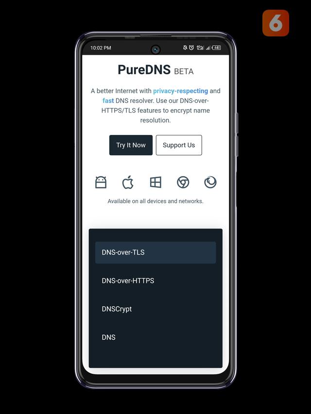 PureDNS adalah layanan Secure DNS buatan pengembang indie lokal