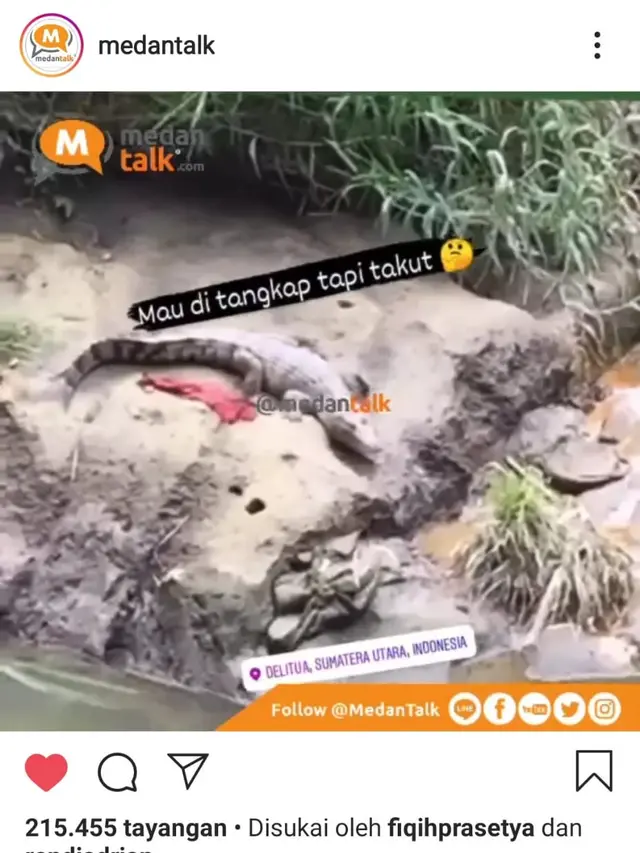 Tangkapan layar smartphone