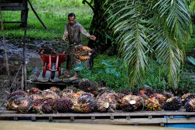 Penerapan Model Ekonomi Sirkular