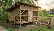 8 Desain Kandang Ayam dari Bambu yang Murah tapi Tetap Kokoh dan Tahan Lama