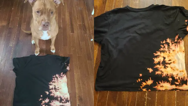 Kisah seekor anjing ras yang kreatif ubah desain baju tuannya jadi lebih fashionable dengan sentuhan tie dye.