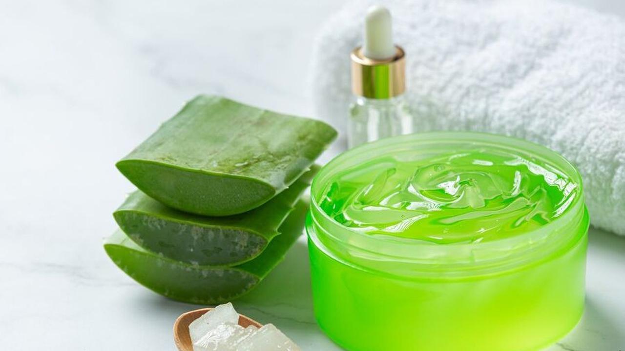 10. Aloe Vera: Bahan Alami untuk Kulit Kering