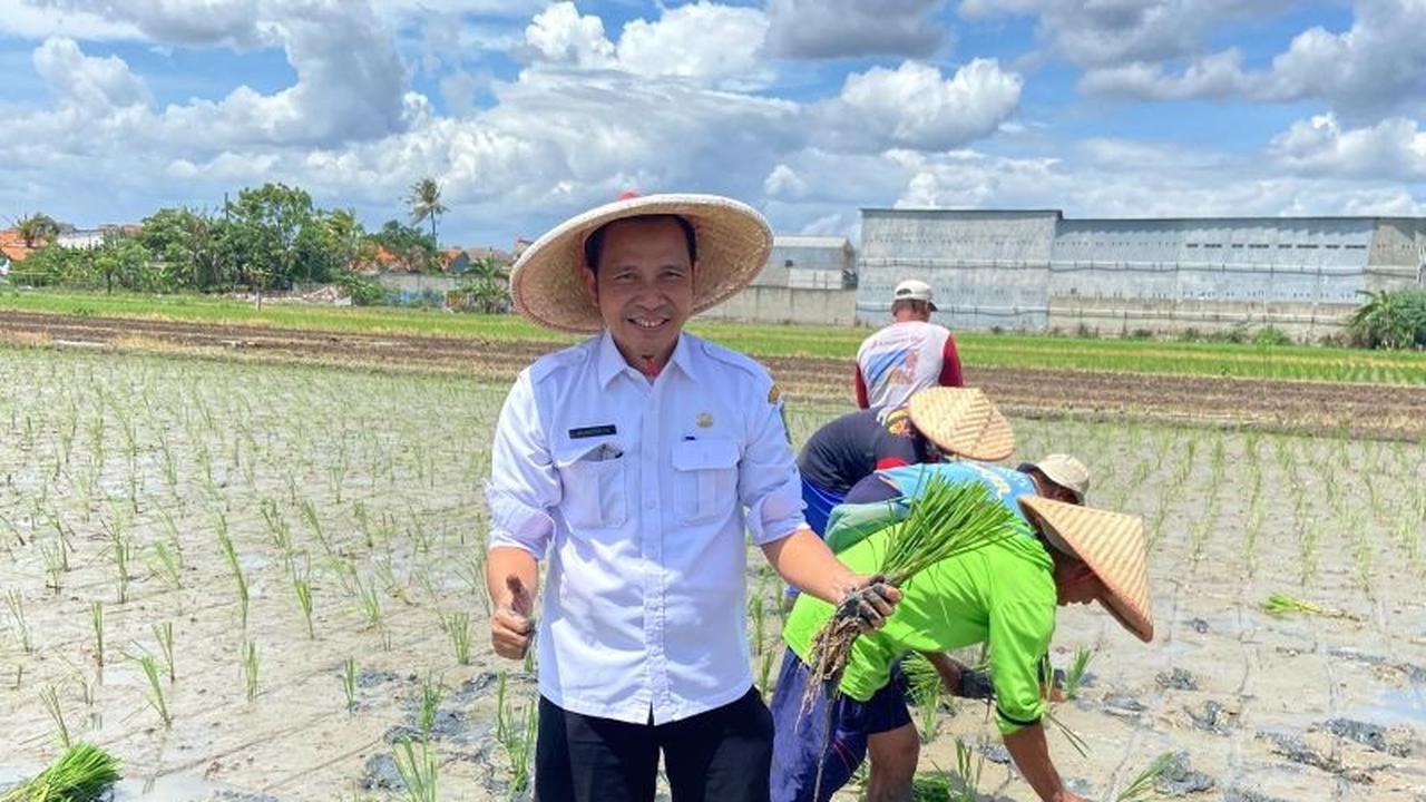 DKP Tangerang Siapkan Strategi Antisipasi Cuaca Ekstrem Demi Panen Beras Optimal