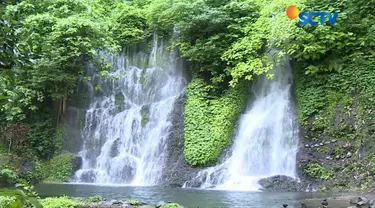 Selain menikmati pemandangan air terjun, disini Anda juga bisa melihat perkebunan kopi.