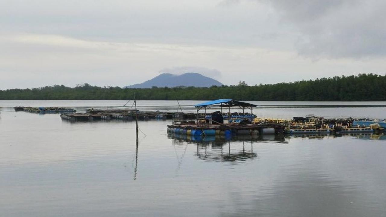 Fakta Unik Kepri 98% Lautan: Pemprov Genjot Investasi Tiongkok di Sektor Migas hingga Pariwisata