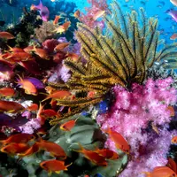 Inilah fakta tentang laut yang jarang diketahui banyak orang.