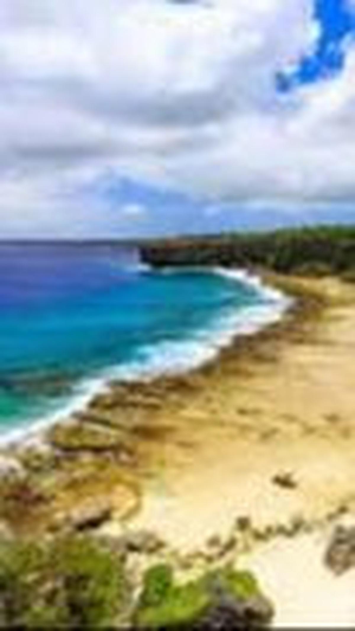 3. Tonga