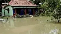 Selain ratusan rumah, banjir Purworejo juga merendam puluhan hektare sawah. 