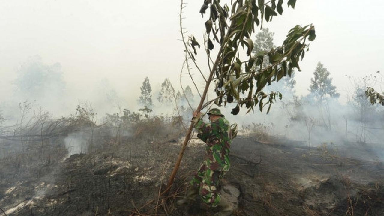 Aksi tim gabungan terobos asap tebal padamkan kebakaran hutan Riau