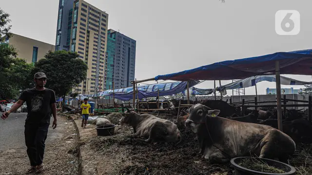 Pedagang Hewan Kurban Ramaikan Jakarta