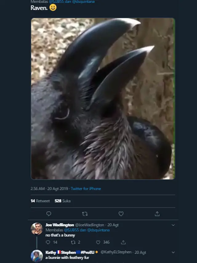 Kelinci atau Burung Gagak?
