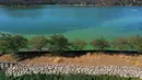 Foto udara menunjukkan mekarnya cyanobacteria atau disebut ganggang biru-hijau di Clear Lake di Redbud Park, California (26/9/2021). Penduduk dan pengunjung Clear Lake, danau air tawar terbesar kedua di California, didesak untuk berhati-hati saat mengunjungi danau. (Justin Sullivan/Getty Images/AFP)