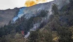 Pemerintah Kerahkan Seluruh Sumber Daya, Penanganan Karhutla Dipercepat