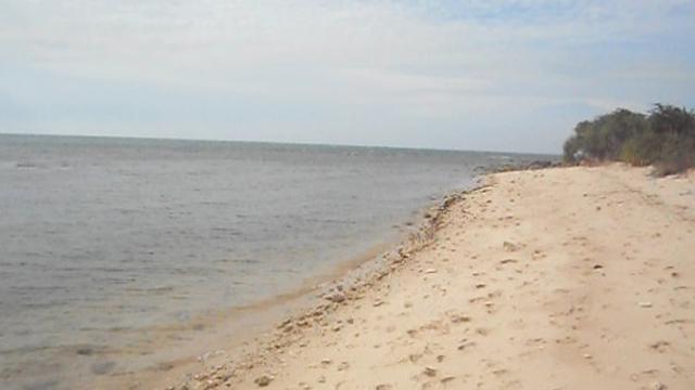 Bondo Pesona Pantai Jepara Yang Tersembunyi Citizen6