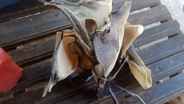Kerupuk Ikan Buntal yang Sebabkan Dua Bocah keracaunan