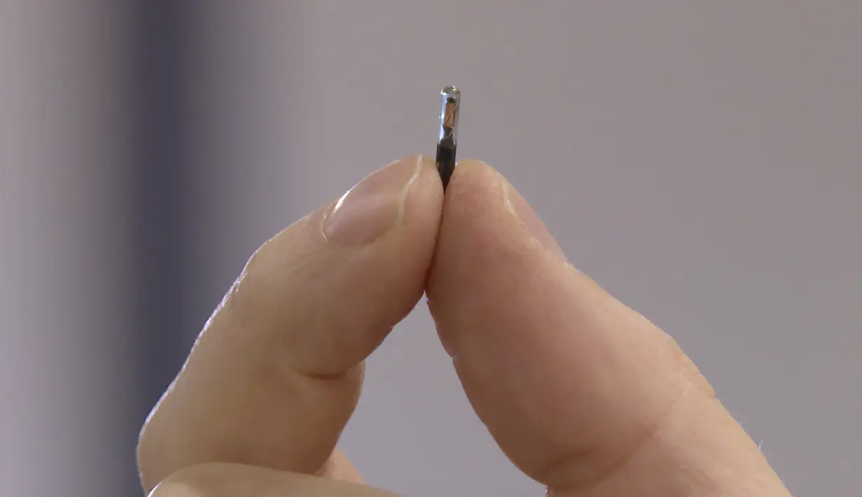 Direktur DSruptive Subdermals, Hannes Sjoblad memegang implan di antara jari-jarinya di Stockholm (20/12/2021). Perusahaan Swedia DSruptive Subdermals telah membuat microchip yang dapat dimasukkan di bawah kulit sehingga pengguna dapat membawa paspor Covid-19 di lengan mereka. (AFP/Viken Kantarci)