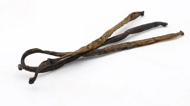 Vanila