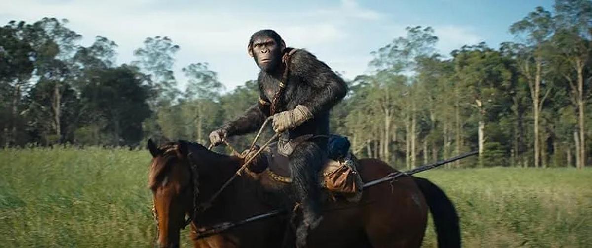 Rekomendasi Film Action di Tahun 2025 yang Paling Populer, Sayang untuk Dilewatkan