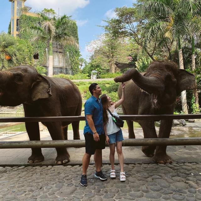 6 Momen Liburan Samuel Zylgwyn dan Franda di Bali Zoo, Nikmati Rekreasi Keluarga