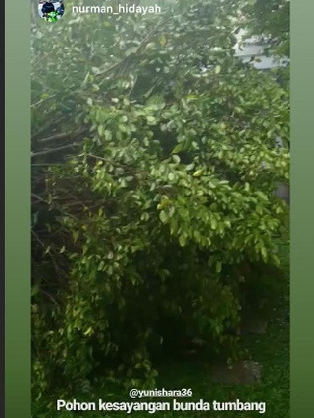 Jakarta Banjir Lagi, Rumah 6 Artis Ini Juga Jadi Korban