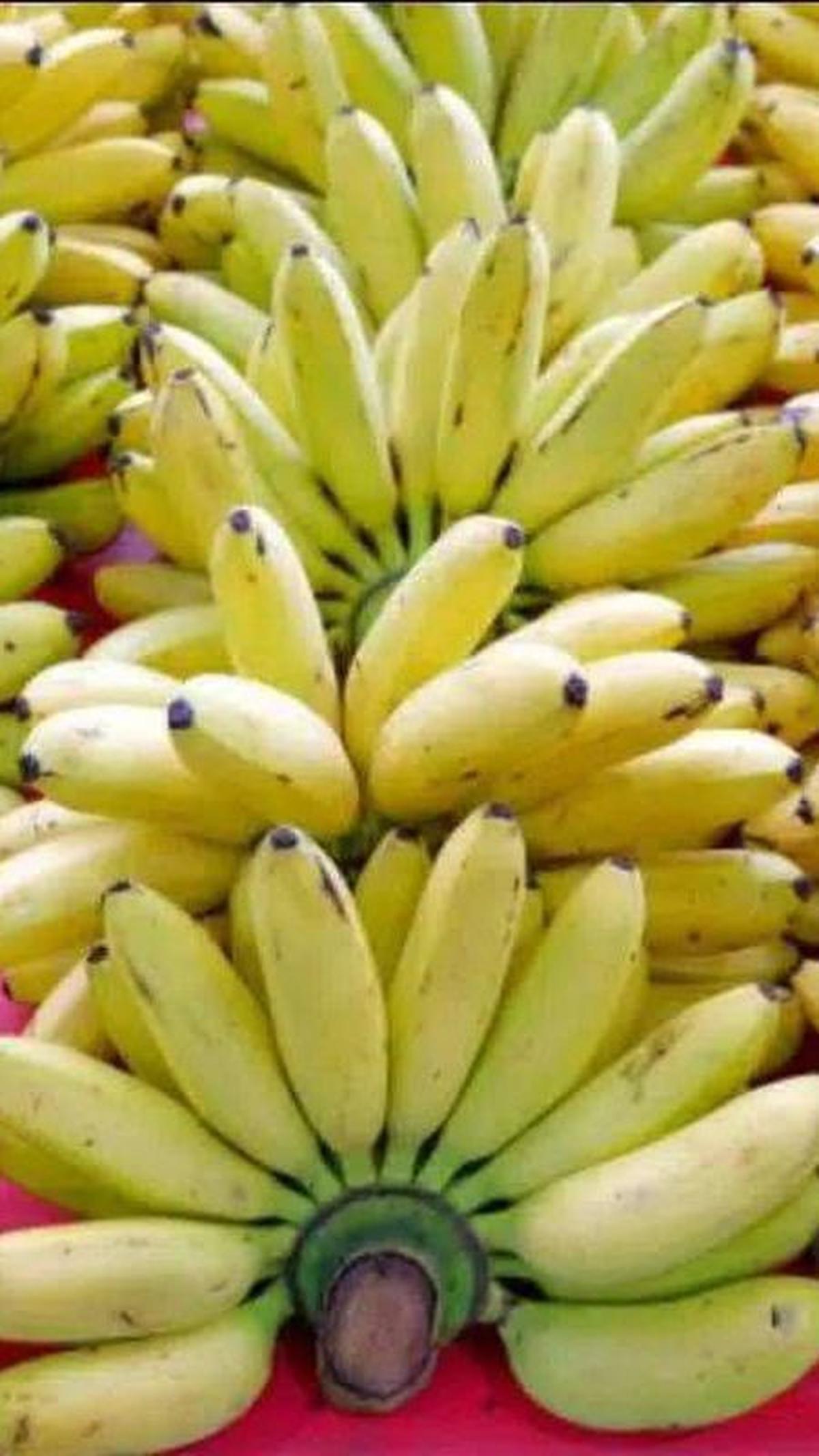 7. Pisang Muli