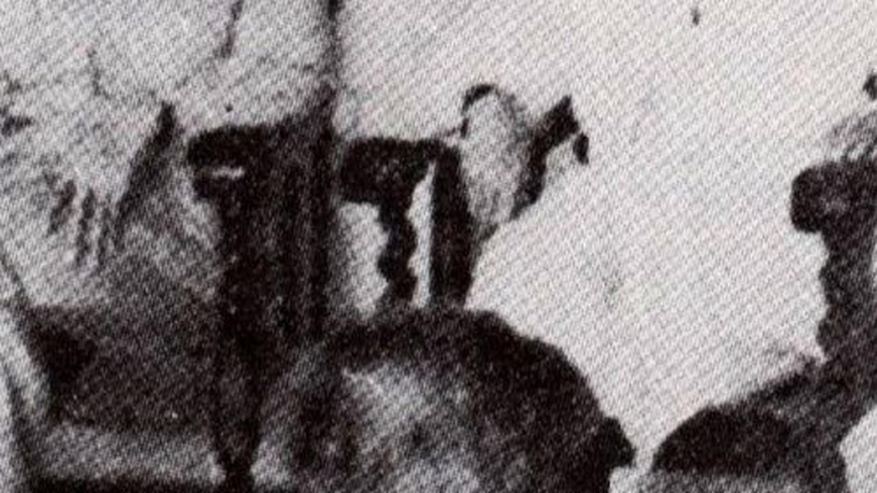 Ir. Soekarno dan Mohammad Hatta merupakan Presiden RI serta Wakil Presiden RI pertama. <br>