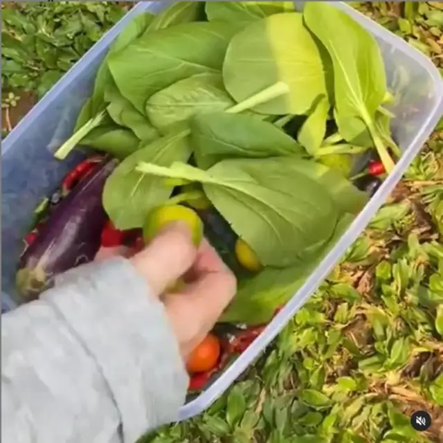 Gaya Ketua DPR Puan Maharani Saat Berkebun di Rumah