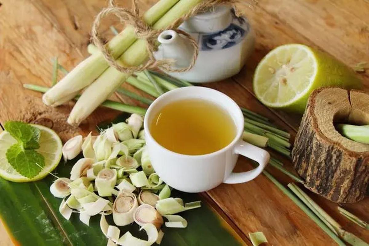 Resep Jamu Rebusan Daun untuk Turunkan Tekanan Darah Tinggi Secara Alami