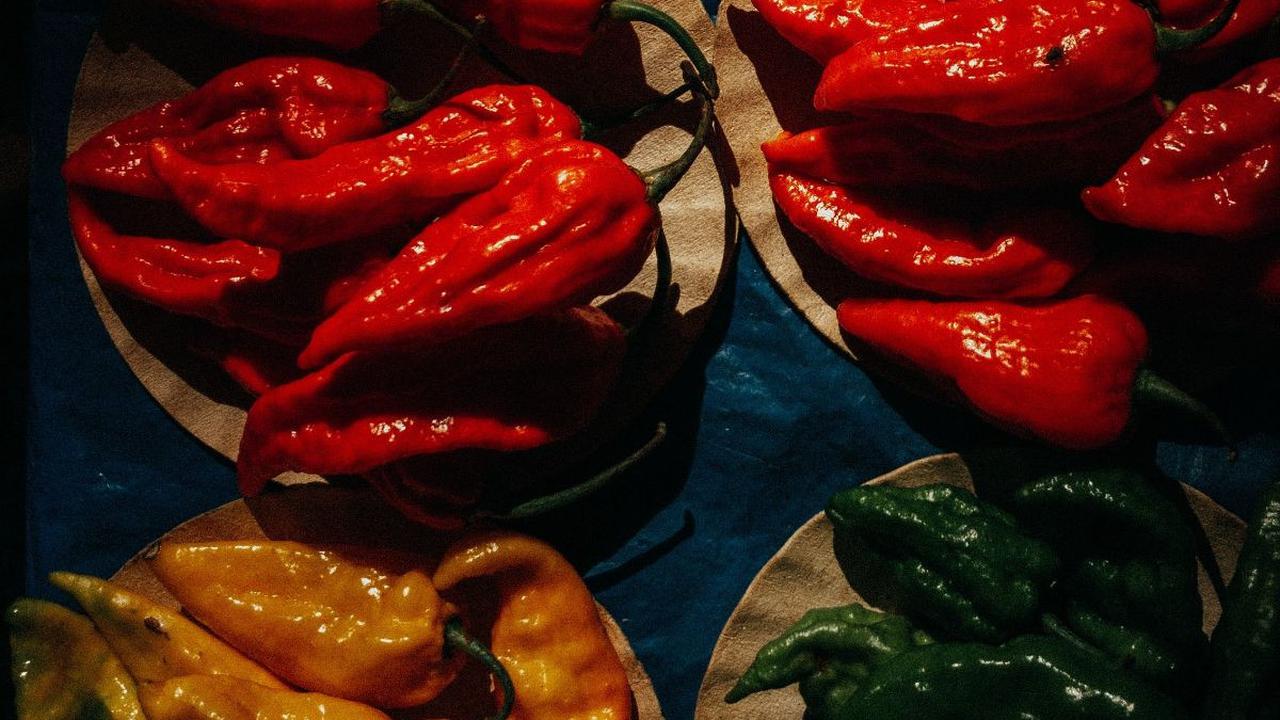 Aneka Resep Sambal Korek dan Cara Membuatnya