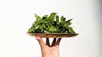 Rawat Kebun Gizi, Upaya Ibu-Ibu di Sumba Sediakan Sayur untuk Buah Hati. Foto: Liputan6.com/Ade Nasihudin.