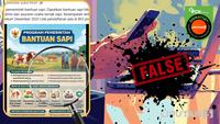 Cek Fakta: Tidak Benar Ini Link Pendaftaran Program Pemerintah Bantuan Sapi