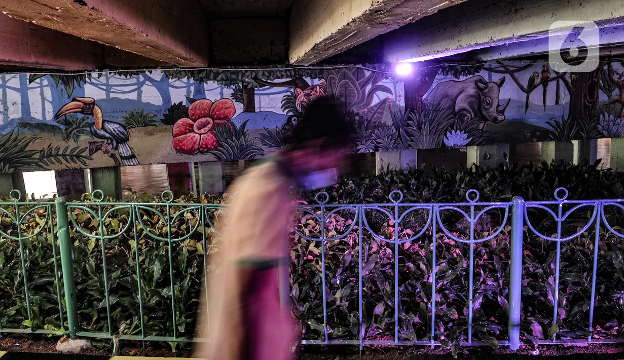 Pejalan kaki melintas di taman kolong Jembatan Pegangsaan, Jakarta, Minggu (7/2/2021). Sebelumnya taman ini merupakan lapak warga tunawisma yang kemudian ditertibkan dan disulap menjadi taman usai Menteri Sosial Risma blusukan pada akhir Desember 2020. (merdeka.com/Iqbal S Nugroho)