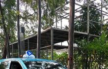 Toyota Panen Besar, Ribuan Armada Baru Taksi Bluebird Pakai All New Avanza