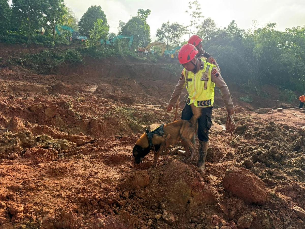 Pencarian Korban Longsor Banjarnegara