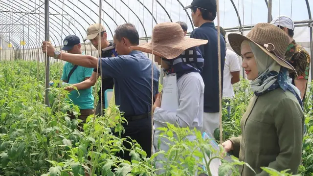 Cocok Jadi Duta Petani Milenial, Ini 6 Potret Melody Laksani Ikut Program Pertanian di 2019