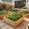 Raised Beds Kayu Minimalis merupakan salah satu konsep kebun sayur rumah belakang dengan vibe slow living (Gemini AI)