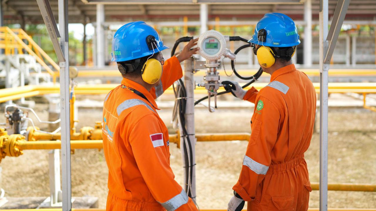 Aksi Nyata PLN EPI Tanggapi Risiko Lingkungan dan Sosial, 'Sulap' Ranting Jadi Biomassa