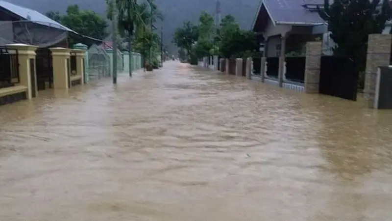 Banjir di Kabupaten Pesisir Selatan akibat hujan deras yang mengguyur sejak 23 September 2020. (Liputan6.com/ ist)