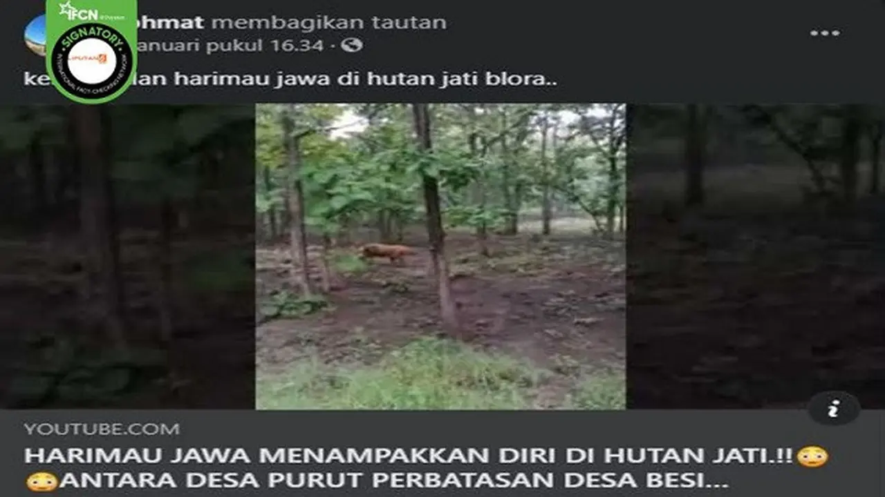Gambar Tangkapan Layar Video yang Diklaim Kemunculan Harimau di Hutan Blora (sumber: Facebook)