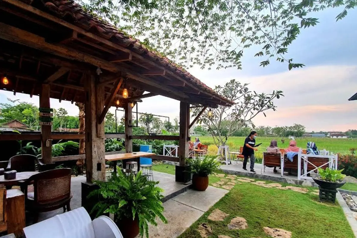 Tempat Makan View Sawah di Jogja