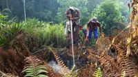 Petugas gabungan berupaya memadamkan kebakaran puluhan hektare kawasan penangkaran gajah di Taman Nasional Tesso Nilo (TNTN) Kabupaten Pelalawan, Riau. (Liputan6.com/M Syukur)