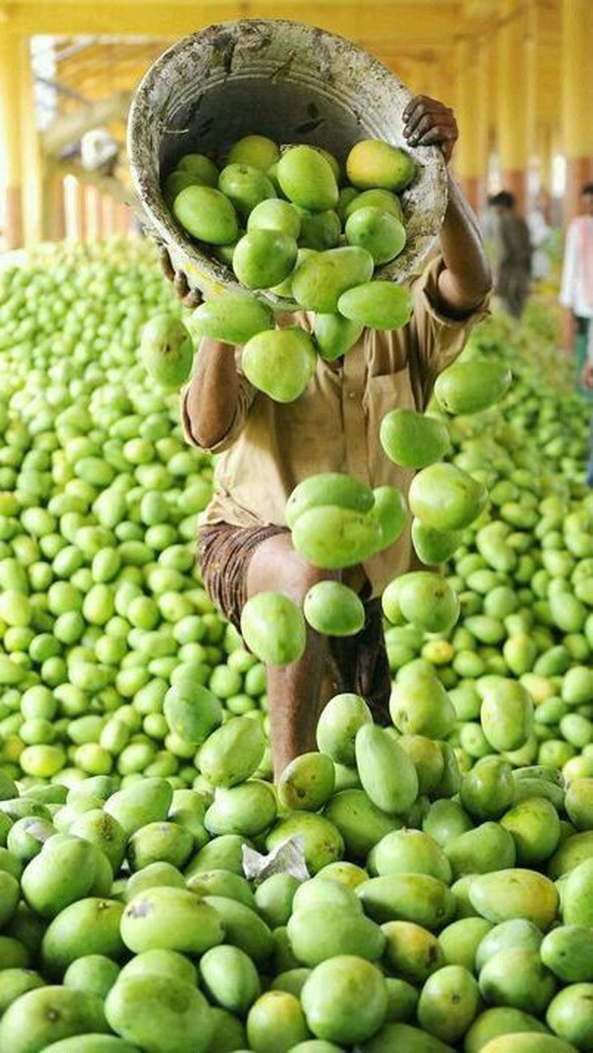 4.&nbsp;Pakistan