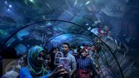 Pengunjung mengamati ikan di dalam akuarium di SeaWorld Ancol, Jakarta, Minggu (25/12). Seaworld menjadi tempat favorit pengunjung dalam liburan dikarenakan mereka bisa sambil belajar untuk putra-putrinya mengenal biota laut. (Liputan6.com/Faizal Fanani)