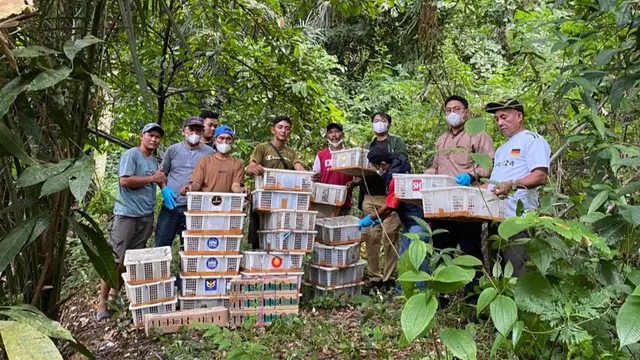 Aksi Penyelundupan 1.532 Burung Ilegal di Lampung Terbongkar, Tujuannya Pasar Burung Jawa Barat