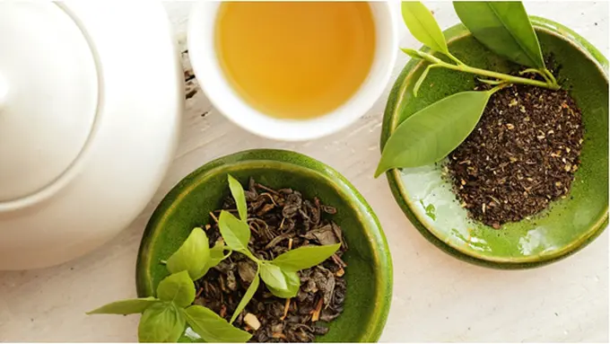 Courtesy ShutterStock.com