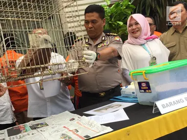 Kabid Humas Polda Metro Jaya, Kombes Argo Yuwono melihat barang bukti kasus jual beli satwa liar yang dilindungi, Jakarta, Rabu (31/1). Petugas menangkap tujuh pelaku yang memperjual-belikan hewan itu melalui media sosial. (Liputan6.com/Immanuel Antonius)