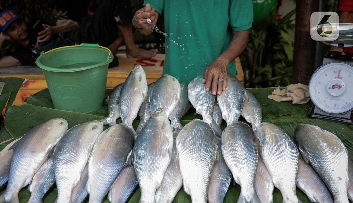 Pedagang menyiramkan air pada ikan bandeng yang dia jual di kawasan Rawa Belong, Jakarta, Selasa (21/1/2020). Bandeng yang biasanya menjadi hidangan khas saat Tahun Baru Imlek tersebut mulai ramai diperdagangkan di Rawa Belong. (Liputan.com/Faizal Fanani)