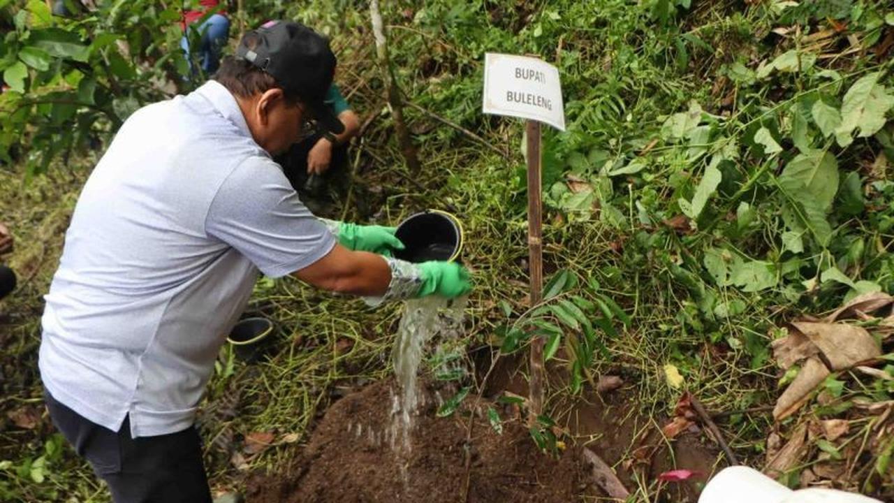 Bupati Buleleng Pimpin Gerakan Penanaman Pohon, Lestarikan Hutan Ambengan dan Jamin Keberlanjutan