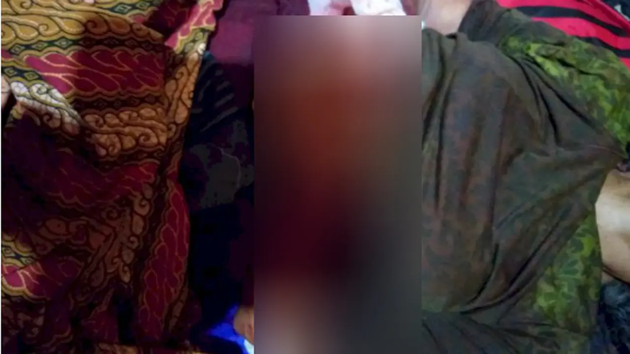 Heboh Celeng Jumbo Seruduk Warga Kerinci hingga Tewas