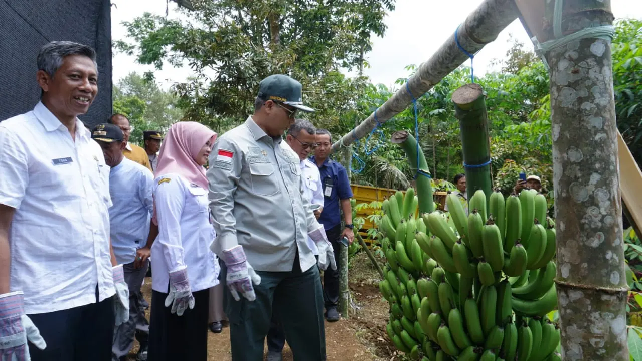 Kehadiran Korporasi Petani Pisang Blitar Siap Ekspor Pisang Cavendish